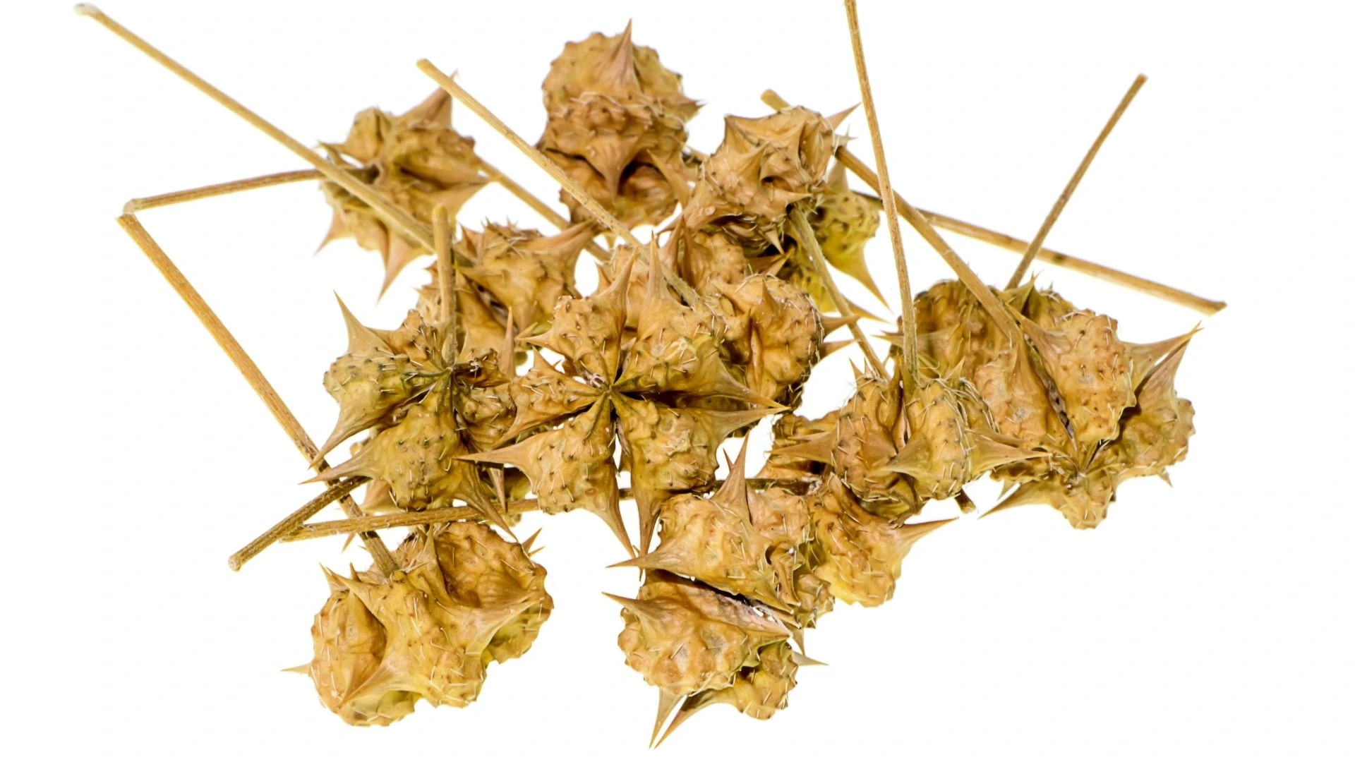 Máme recept na zvýšenie libida Ako na tob